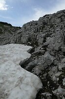 _1001136