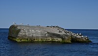 _DSC0147-kopie