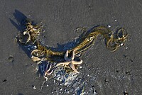 _DSC0154