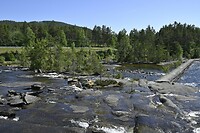 _DSC0168