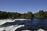 _DSC0184