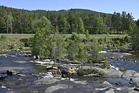 _DSC0187
