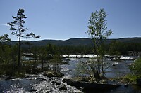 _DSC0195