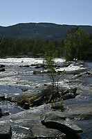 _DSC0196