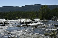 _DSC0198