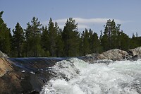 _DSC0220