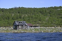 _DSC0223