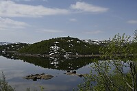 _DSC0224
