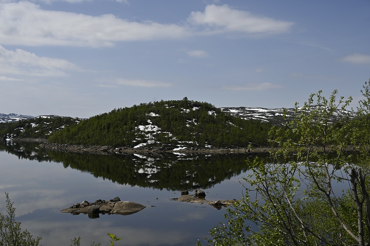 _DSC0224