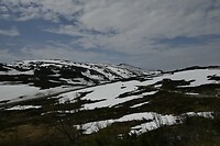 _DSC0230