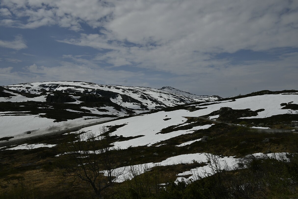 _DSC0230