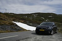 _DSC0231