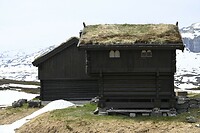 _DSC0242