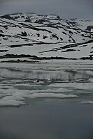 _DSC0248