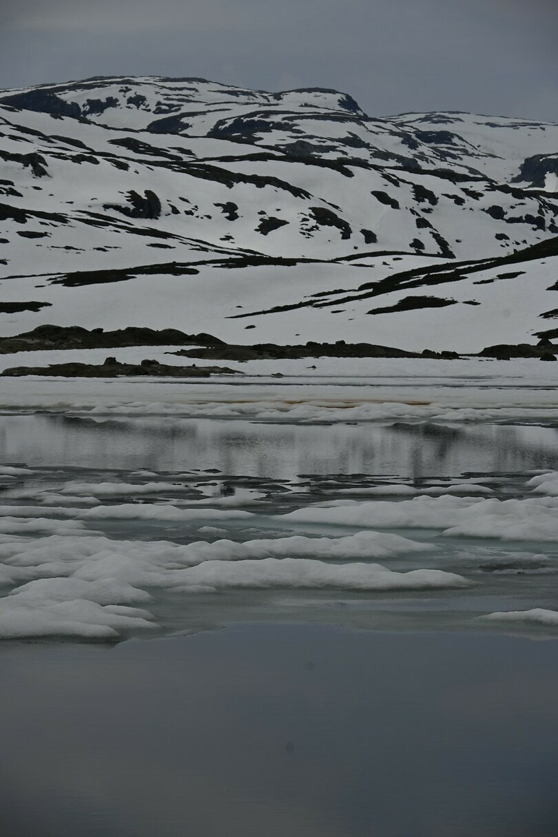 _DSC0248
