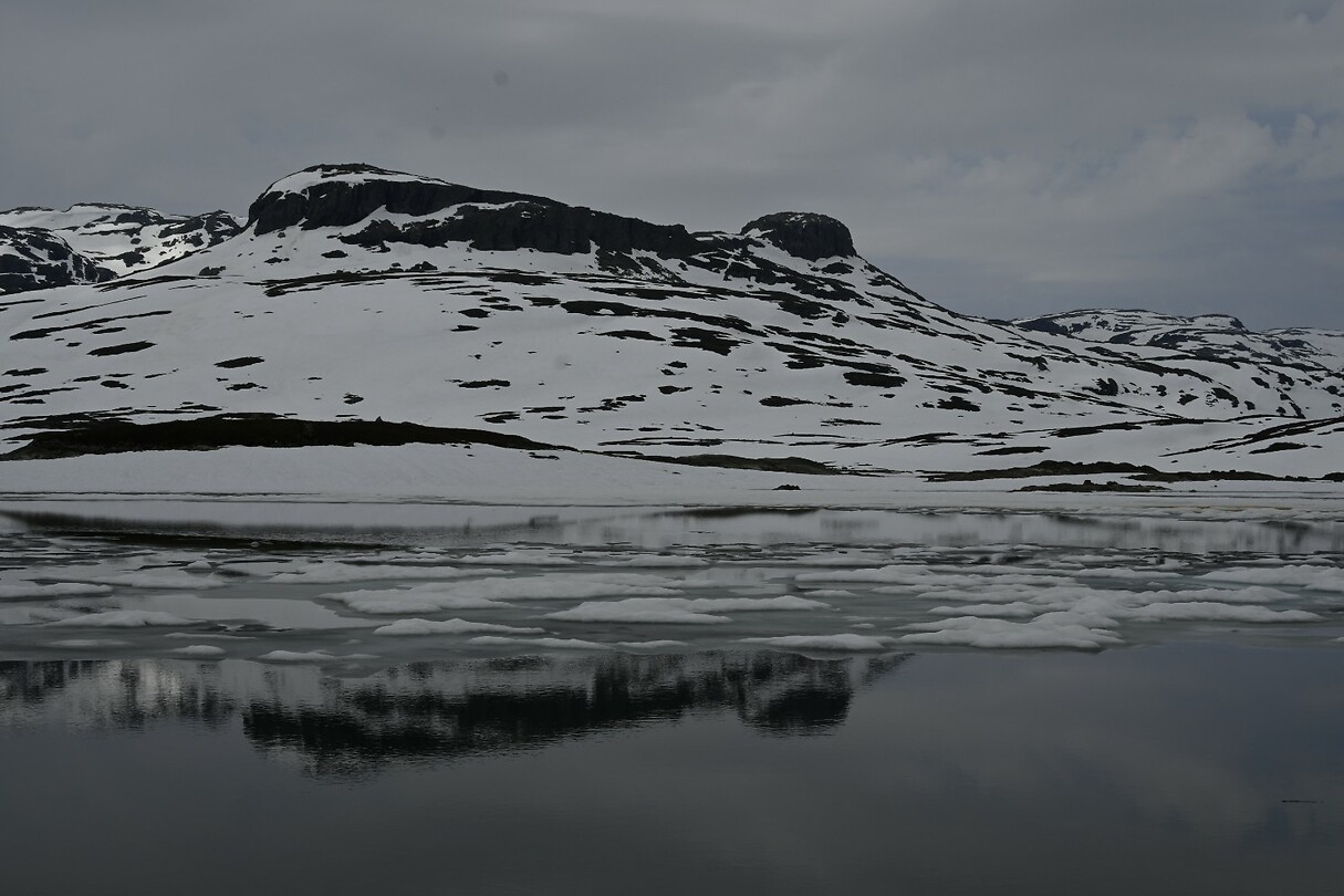 _DSC0249