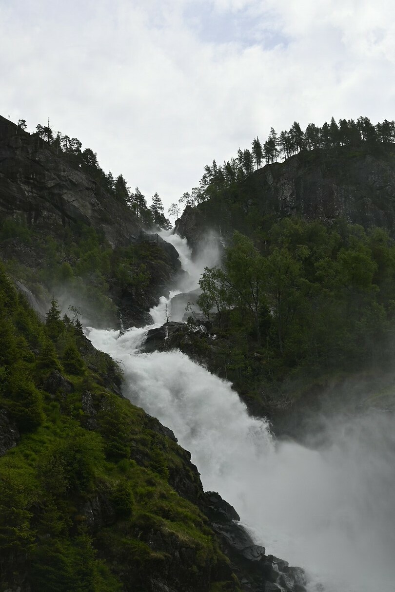 _DSC0264