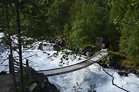 _DSC0279