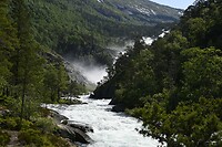 _DSC0286