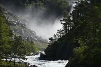 _DSC0287