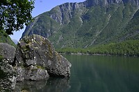 _DSC0314