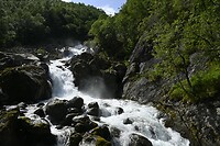 _DSC0315
