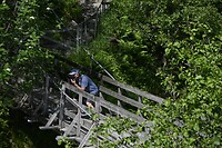 _DSC0319