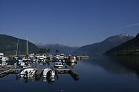 _DSC0341