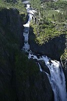 _DSC0350