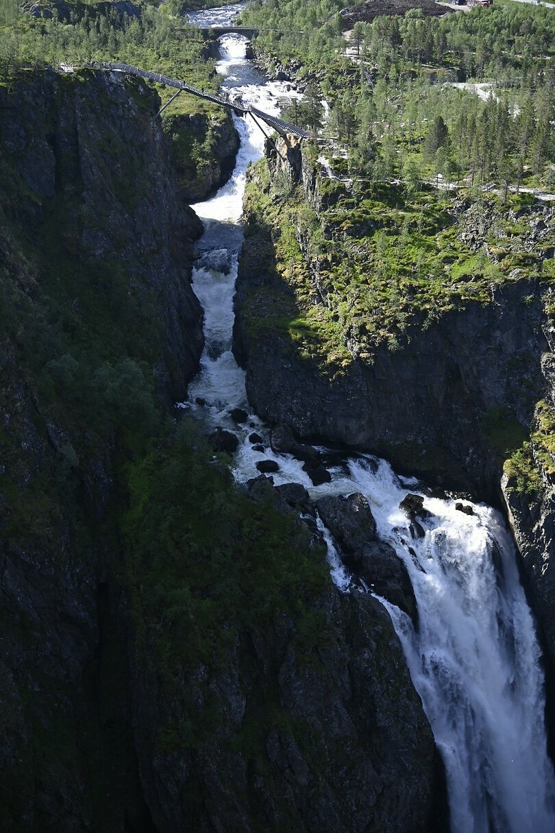 _DSC0350
