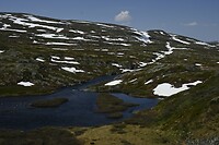 _DSC0363