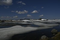_DSC0369