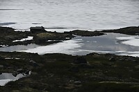 _DSC0375