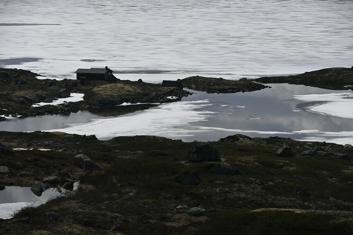 _DSC0375