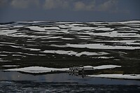 _DSC0377