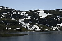 _DSC0383