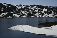 _DSC0385