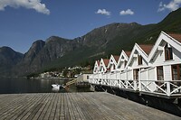 _DSC6418