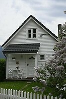 _DSC0534