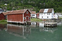 _DSC0538