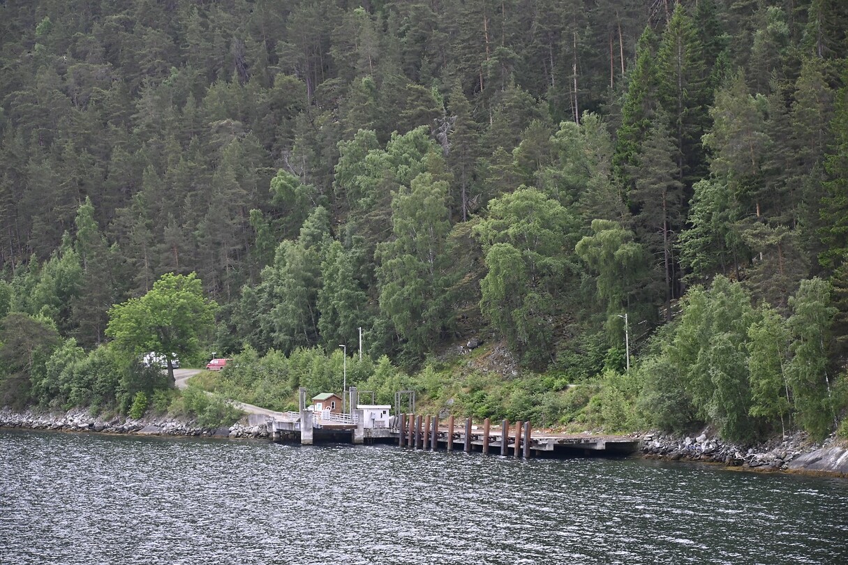 _DSC0588