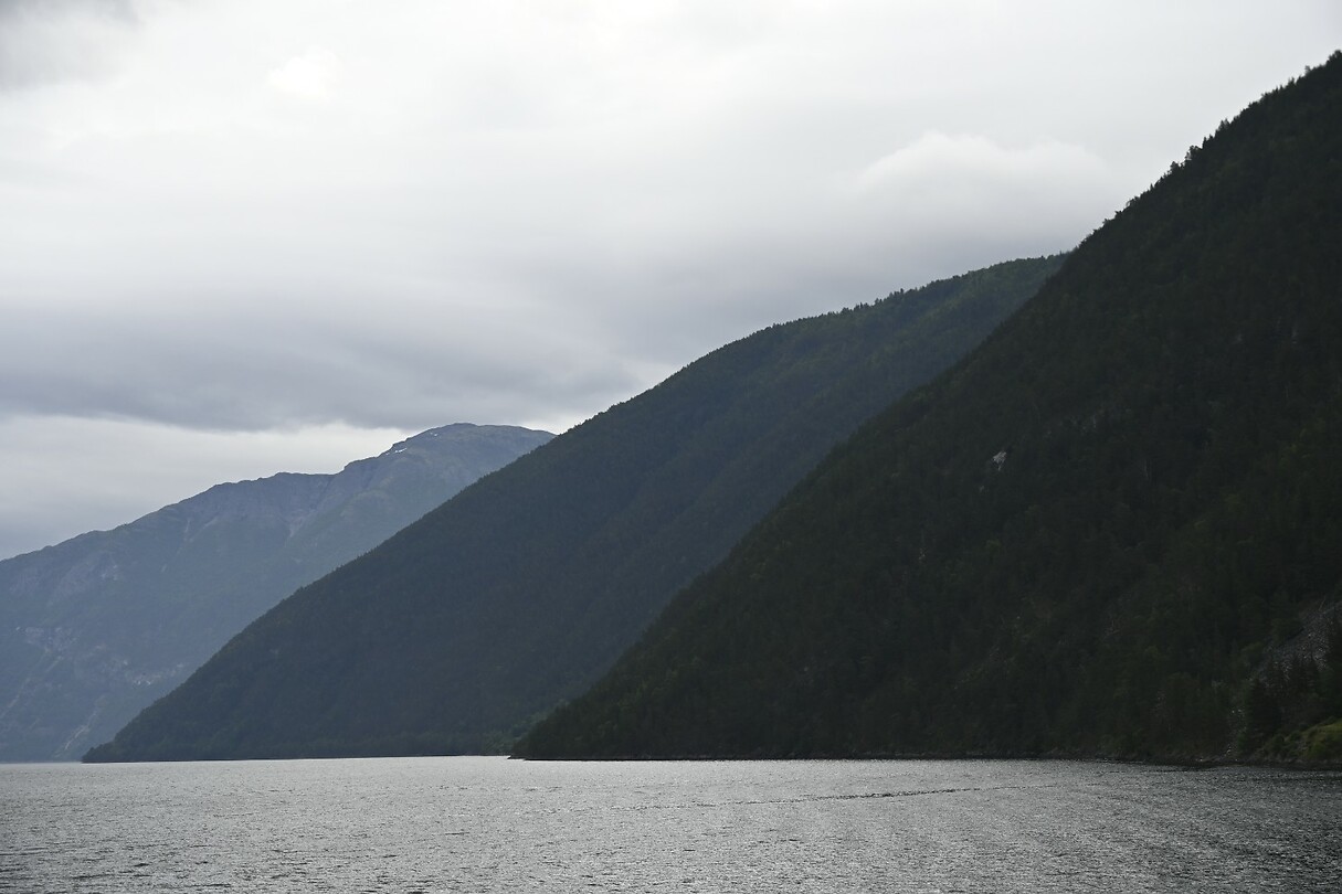 _DSC0589