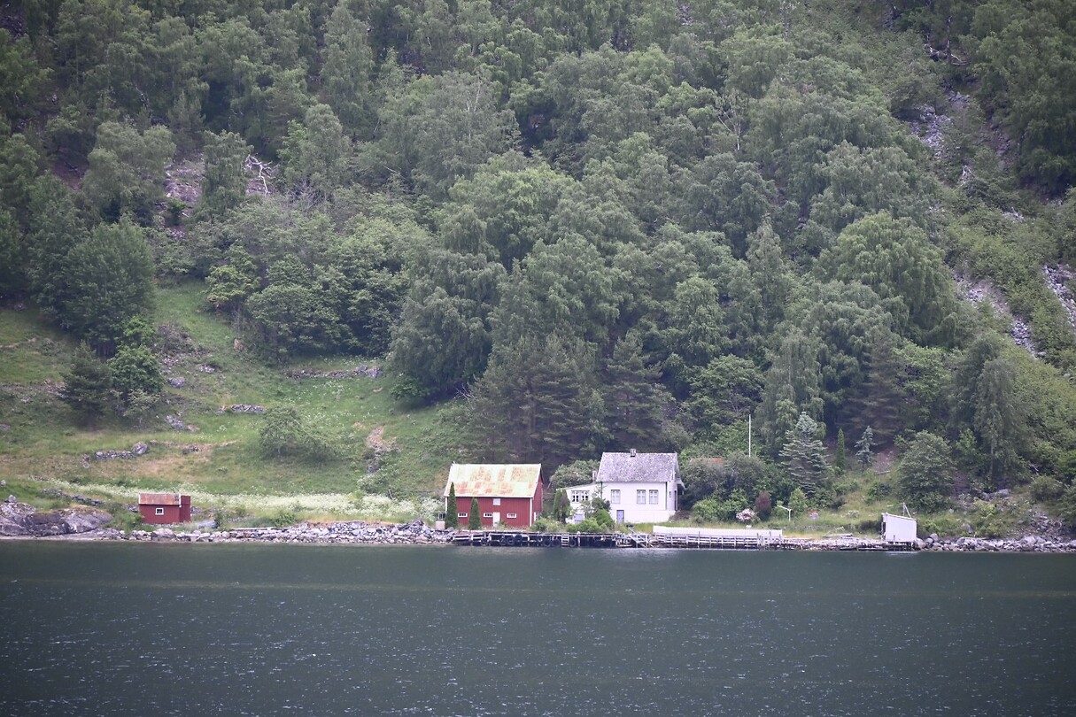 _DSC0598