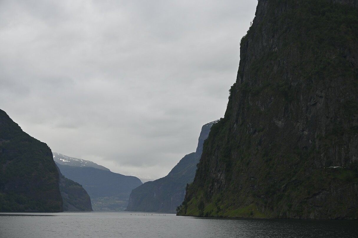 _DSC0603