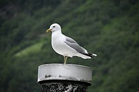 _DSC0628