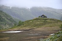 _DSC0649