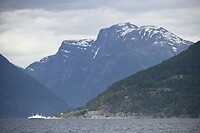 _DSC0655