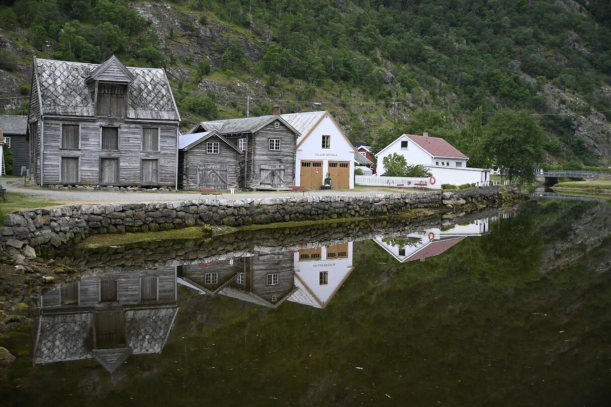_DSC0660