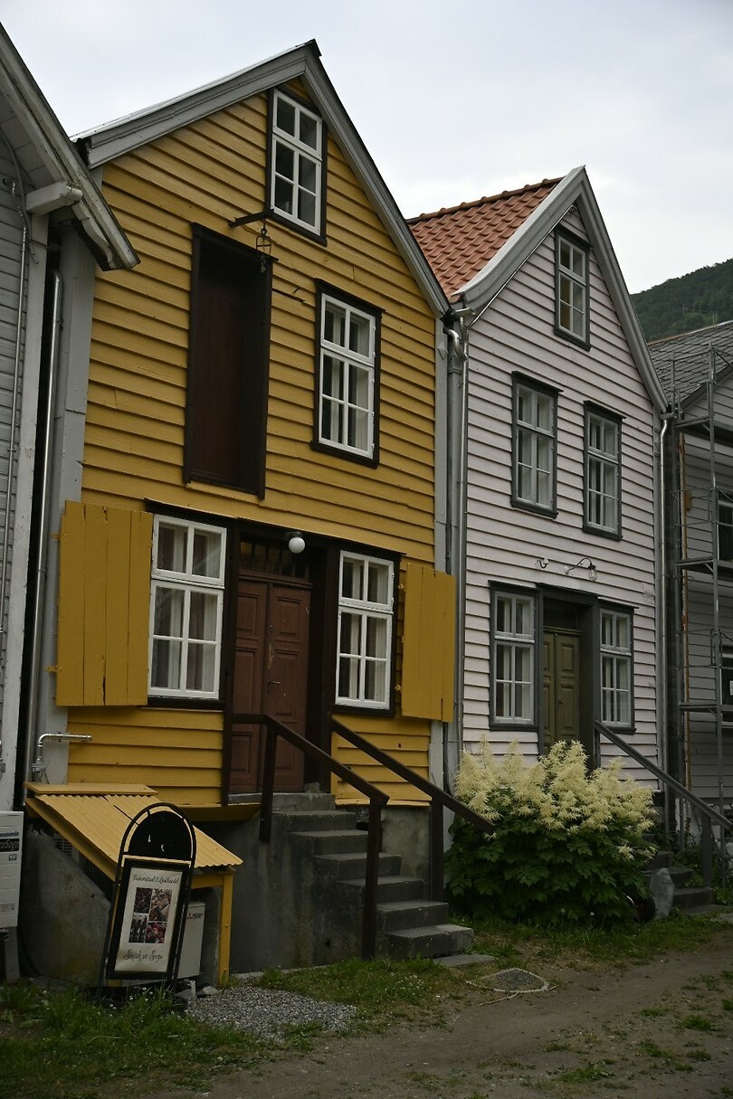 _DSC0663