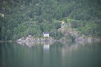 _DSC0696